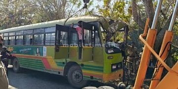 Bus hits tree 20 people injured!