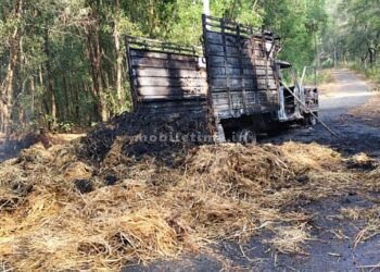 Fire in a grass vehicle