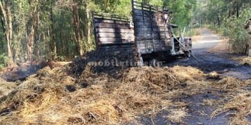 Fire in a grass vehicle