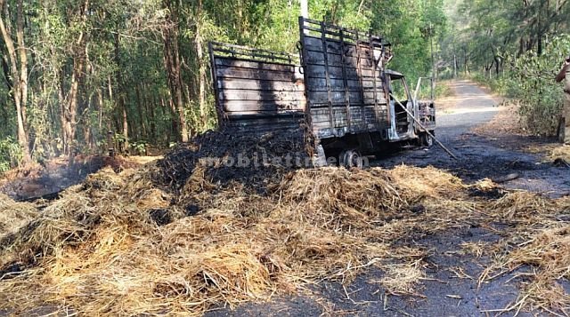 Fire in a grass vehicle