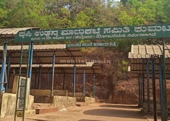 Not a market... Sarai market!