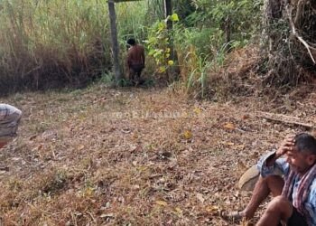 One death many suspicions!