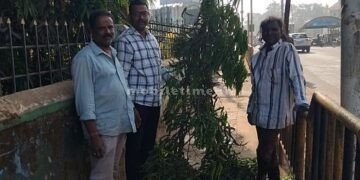 Potholes on the sidewalk Protest by planting trees!