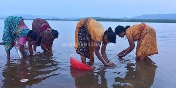 River linking Deadly for us.. Deadly for you too!