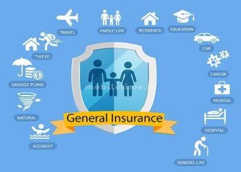 Vehicle insurance If you insure him, you won't get any compensation!