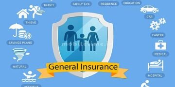 Vehicle insurance If you insure him, you won't get any compensation!