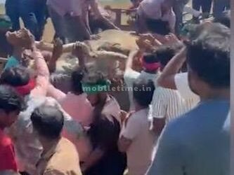 Bull falls into fishing net Death!