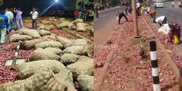 Overturned onion truck Free for me too.. Free for you too