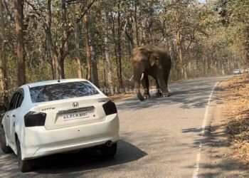 The fierce power of a single warrior!