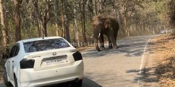 The fierce power of a single warrior!