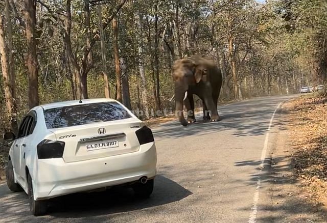 The fierce power of a single warrior!