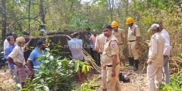 The one who fell into the well was brought back to life.