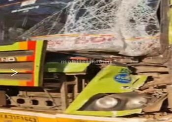 ಬಸ್ ಅಪಘಾತ: ಮಂಗನ ಕಾಟಕ್ಕೆ ಮಾನವರಿಗೆ ಸಂಕಷ್ಟ!