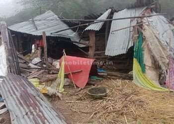 A black elephant broke into the barn!