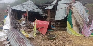 A black elephant broke into the barn!