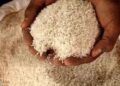 A man who stole eight kg of rice suspended!