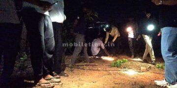 Black leopard on a dark path A tiger that does not spare even the elderly!