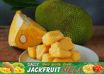 ಹಲಸಿನ ಮೇಳ | ಭಟ್ಕಳಕ್ಕೆ ಬಂದವರಿಗೆ ಸಿಗಲಿದೆ ಬಗೆ ಬಗೆಯ ಖಾದ್ಯ!
