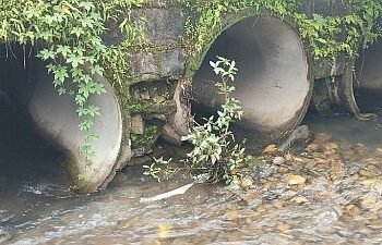Kaiga Bridge is completely dilapidated!