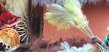 Lamps Society The former secretary is the culprit!