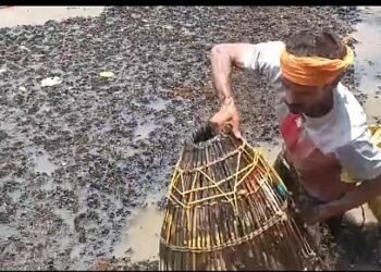 A whole lot of fish for 500 rupees!