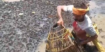A whole lot of fish for 500 rupees!