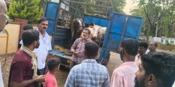 ಅನುಮಾನಾಸ್ಪದ ವಾಹನ ತಪಾಸಣೆ: ಪುಣ್ಯಕೋಟಿಯ ರಕ್ಷಣೆ