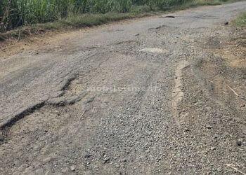 Rs 8 lakh found buried in a pothole!