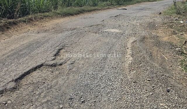 Rs 8 lakh found buried in a pothole!