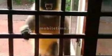 To that monkey lotus means love!