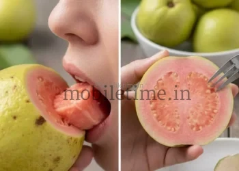 ಪೇರಳೆ ಹಣ್ಣು ತಿಂದ ತಕ್ಷಣ ಈ ಆಹಾರ ಸೇವಿಸಿದರೆ ಆರೋಗ್ಯ ಹದಗೆಡುವುದು ಪಕ್ಕಾ !!