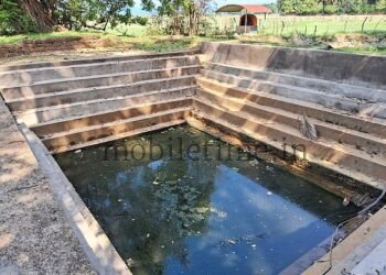Gram Panchayat officer digs up treasure even in a dirty lake!