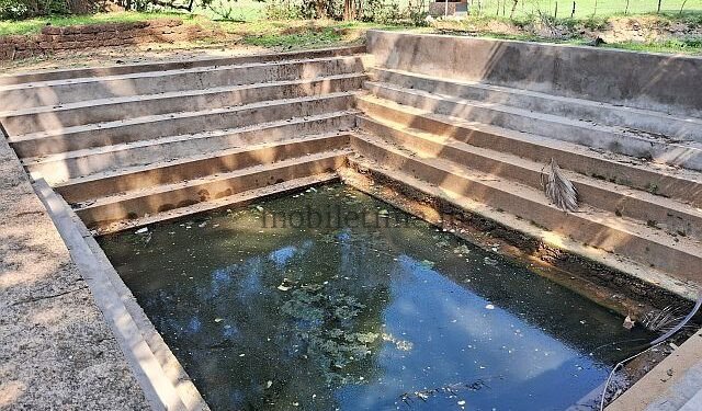 Gram Panchayat officer digs up treasure even in a dirty lake!