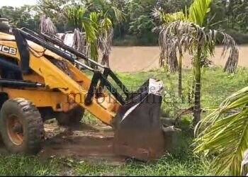 No rain no crop Farmer destroys areca nut plantation using JCB!