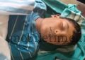 Snake hatred A poisonous snake killed a 12-year-old boy!
