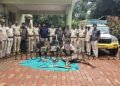 The sound of gunfire heard in the forest!