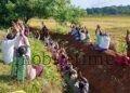 Those who came to work as wage laborers sat down with their hands full!