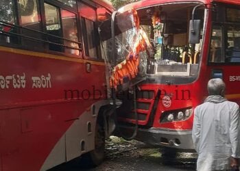 A bus hit a bus!