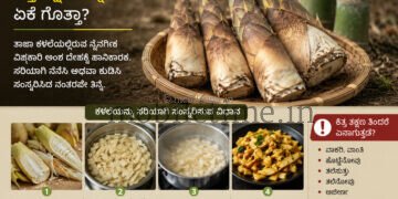ಕಳಲೆ ತಿಂತೀರಾ? ಹಾಗಾದ್ರೆ ಹುಷಾರ್ 