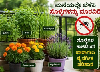 ಸೊಳ್ಳೆಗಳ ಕಾಟಕ್ಕೆ ಗುಡ್ಬೈ ಹೇಳಬೇಕೇ? ಮನೆಯ ಸುತ್ತ ಈ ಗಿಡಗಳನ್ನು ಬೆಳೆಸಿ