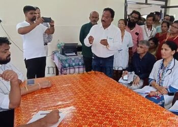 A flood of appeals from Madhava Nayaka!