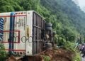 Seabird bus crashes into a tree!