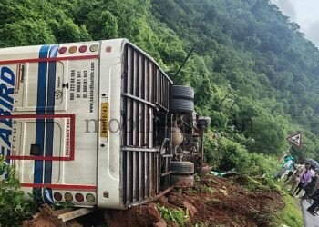 Seabird bus crashes into a tree!