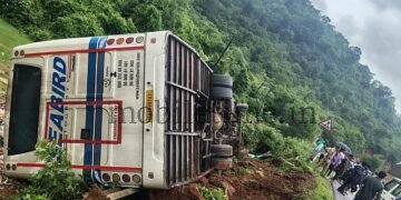 Seabird bus crashes into a tree!