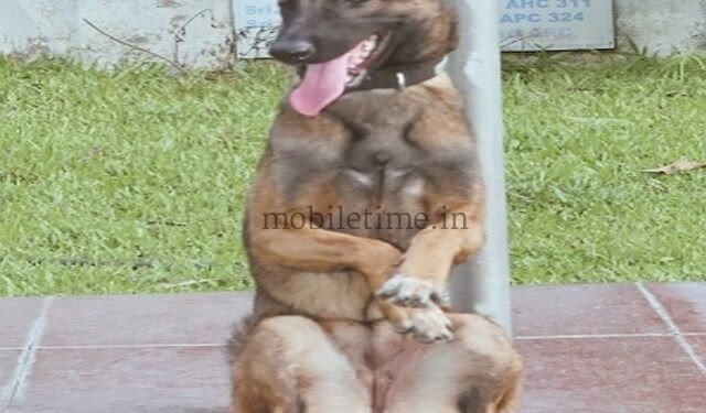Soopa This is no ordinary dog!
