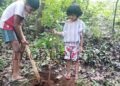 The Forest-loving Children of the Wild