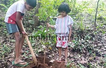 The Forest-loving Children of the Wild