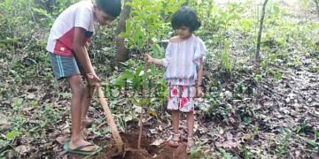 The Forest-loving Children of the Wild