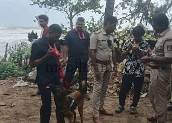 Use of dogs to detect narcotics A canine squad on the hunt for cannabis users!