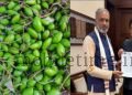Appemidi praised in Delhi MP delights Union Minister!
